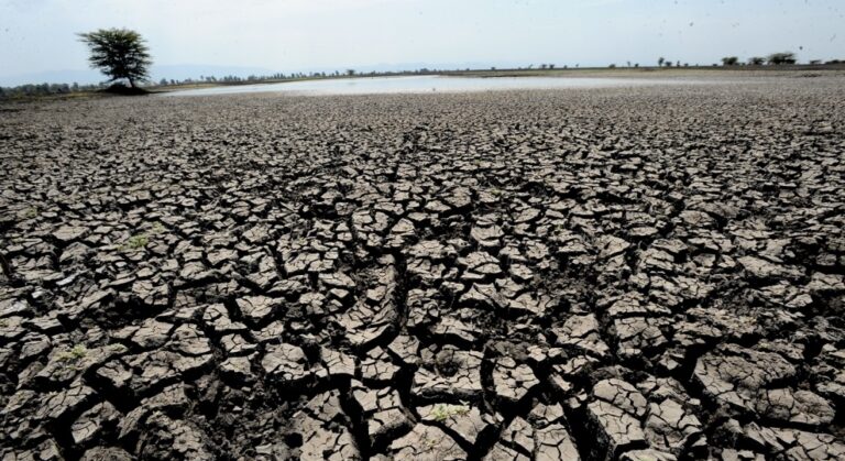 Clima e irrigazione: sparito 1 litro d’acqua su 5. Coldiretti: Sos fame e sete nelle stalle