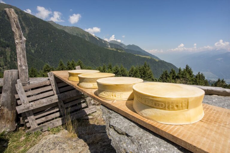 Dop. I formaggi Bitto e Casera traini del turismo in Valtellina