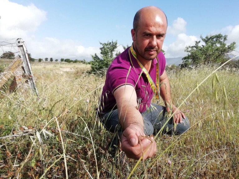 Professione agrotecnico: boom di laureati e diplomati per il mestiere sempre più richiesto