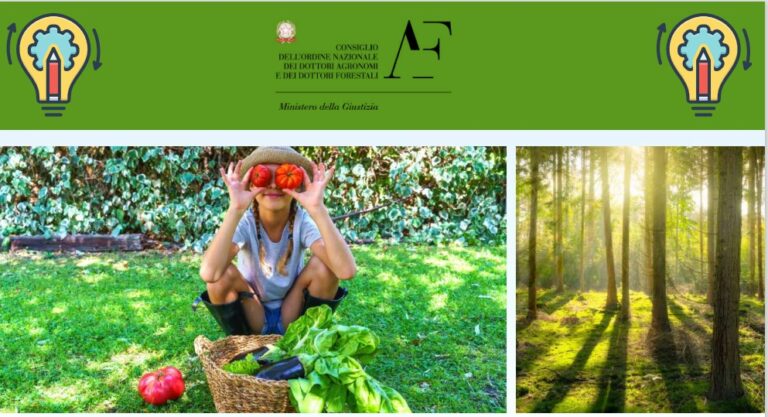 Conaf. Bando di Concorso Premio ‘Dottore Agronomo e Dottore Forestale, Progettista Del Cibo Sostenibile’