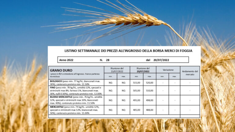 Borsa Foggia, ripartono le quotazioni. Crolla il grano duro: Fino a 505, Mercantile a 485, Biologico a 515