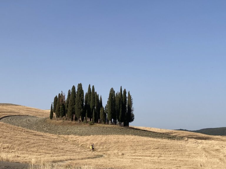 Agriturismo. Il modello italiano supera ogni record: 25 mila strutture e 1,5 mld di fatturato all’anno