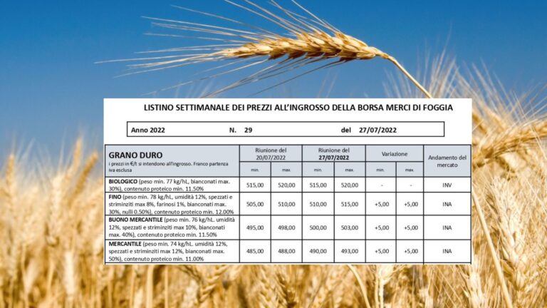 Grano duro. Borsa Foggia: quotazioni in leggero rialzo (+5 euro), stabile il biologico. Ma nell’ultimo mese valore crollato di 70 euro/t.