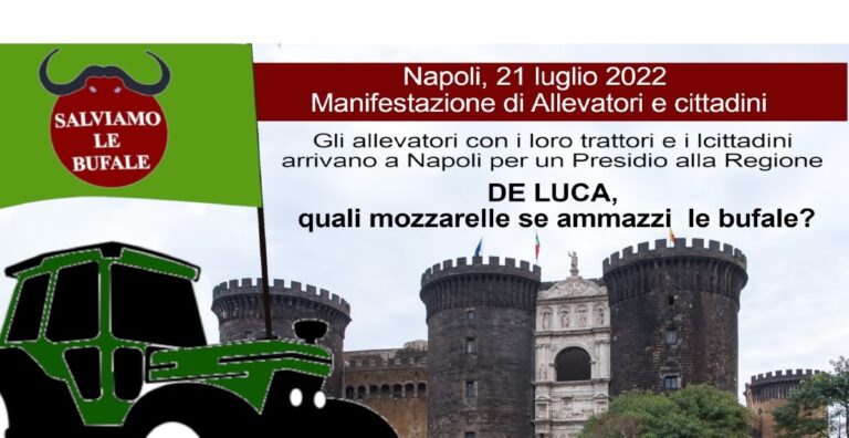 Brucellosi, sale la protesta. Km di trattori in fila per andare a Napoli da De Luca. Il programma del 21 luglio