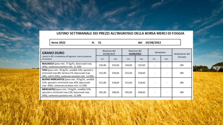 Grano duro, prezzo invariato. Borsa Merci Foggia: quotazioni restano a 525/530 euro/t. (per il fino). In aumento ceci e cruscami