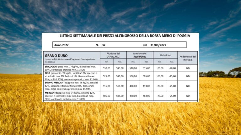 Crolla il prezzo del grano duro. Borsa Foggia: -25 euro a tonnellata in una settimana, -20 per il biologico