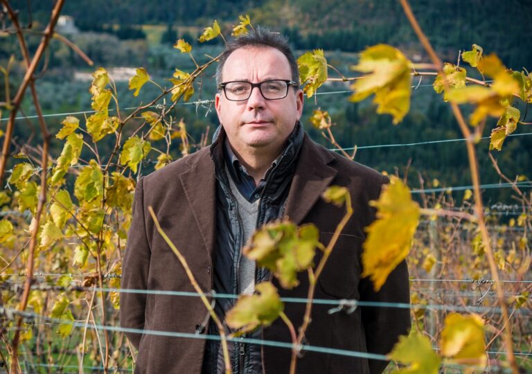 Vino. Federico Giuntini Masseti è il nuovo presidente del Consorzio Chianti Rufina