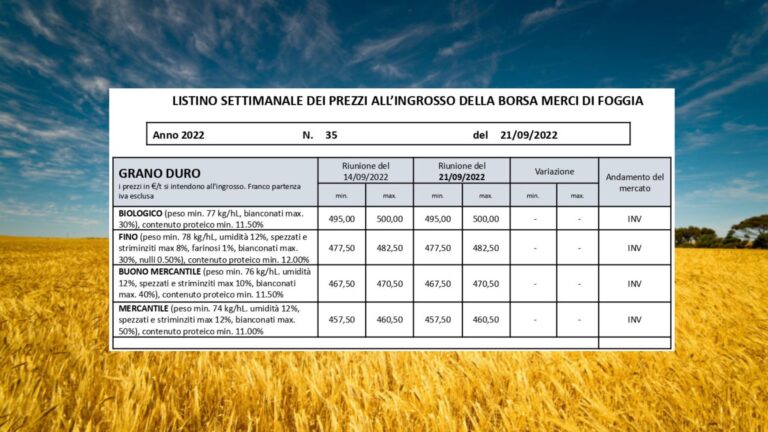 Borsa merci Foggia: invariato il prezzo del grano duro, il Fino resta a 477,50-482,50 euro a tonnellata