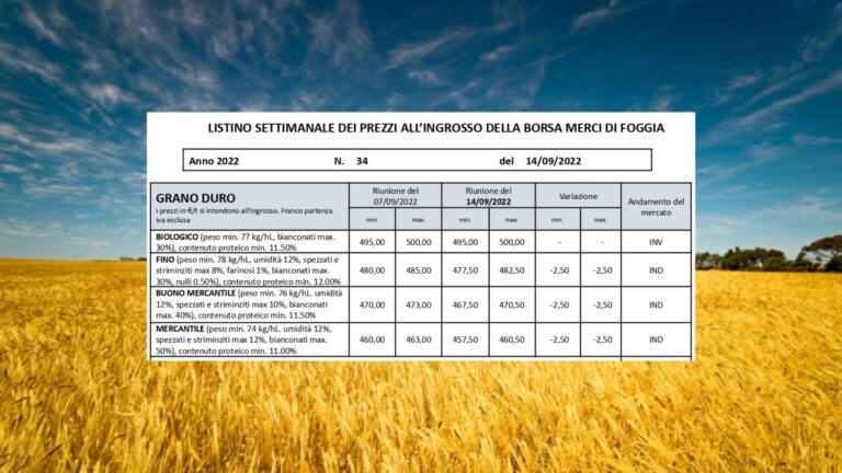 Borsa Merci Foggia: lieve calo per il grano duro (-2,5 euro/t.), non quotato il tenero