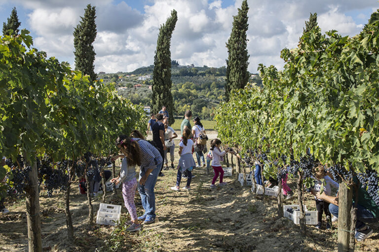 Dal 25 al 26 maggio Cantine Aperte in tutta la Toscana con il connubio con il Pane Toscano Dop