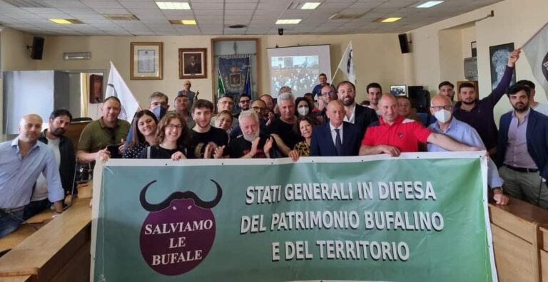 Una delegazione del Movimento degli allevatori bufalini e di sindaci a Bruxelles