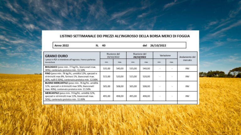 Quotazioni grano duro invariate alla Borsa merci di Foggia. Il Fino resta a 520 euro/t. e il biologico fermo a 540