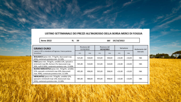 Grano duro. Quotazioni in crescita alla Borsa merci di Foggia: Fino a 520 euro a tonnellata, biologico a 540