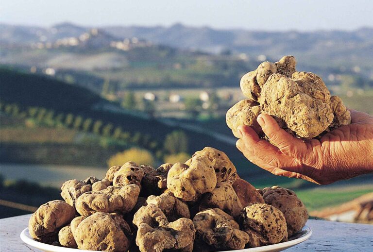 Riso e tartufo: pilastri dell’italianità da riscoprire. Secondo appuntamento con i Mercoledì del Gusto del CREA