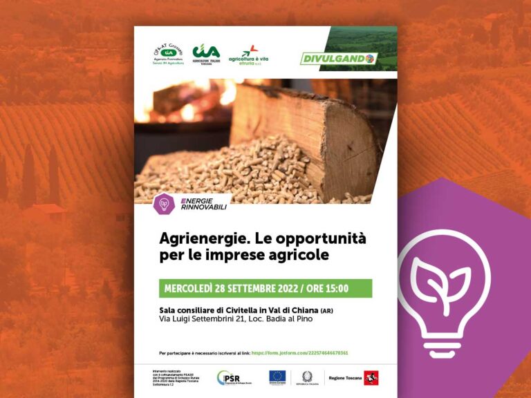 Crisi energetica. Dalle agrienergie le opportunità per le imprese agricole toscane