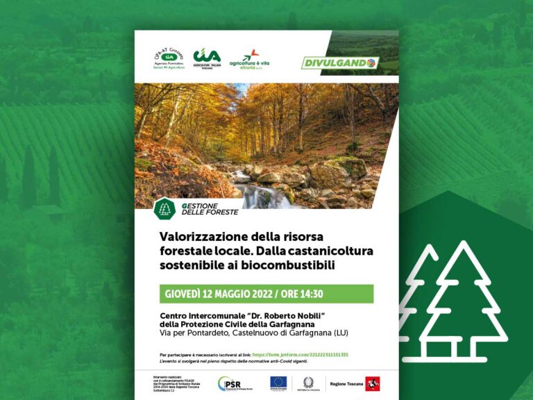 Valorizzazione della risorsa forestale locale. Dalla castanicoltura sostenibile ai biocombustibili