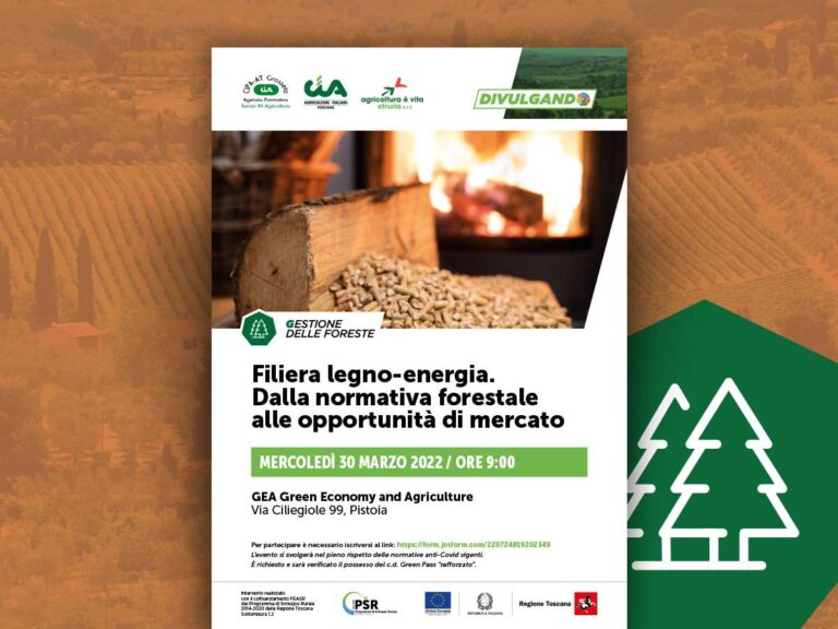 Filiera legno-energia. Dalla normativa forestale alle opportunità di mercato