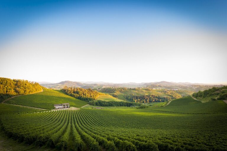 Vino. Academy 4Grapes: al via la terza edizione del corso di alta formazione vitivinicola di Perleuve