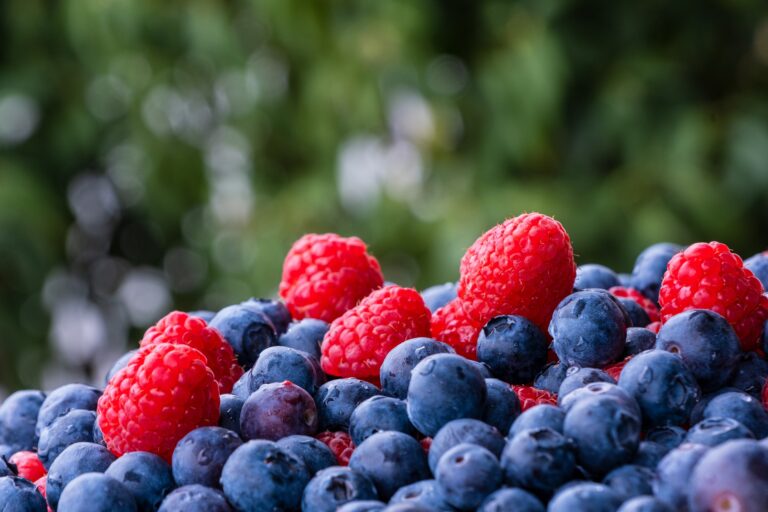 Frutta. A Marsala (Tp) il 21 ottobre il primo simposio sulla fragola e i piccoli frutti