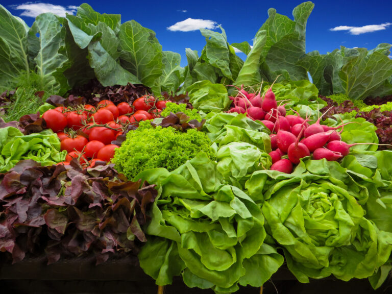 Borsa della spesa: calo generale prezzi per frutta e verdura di stagione. Clima favorisce produzione