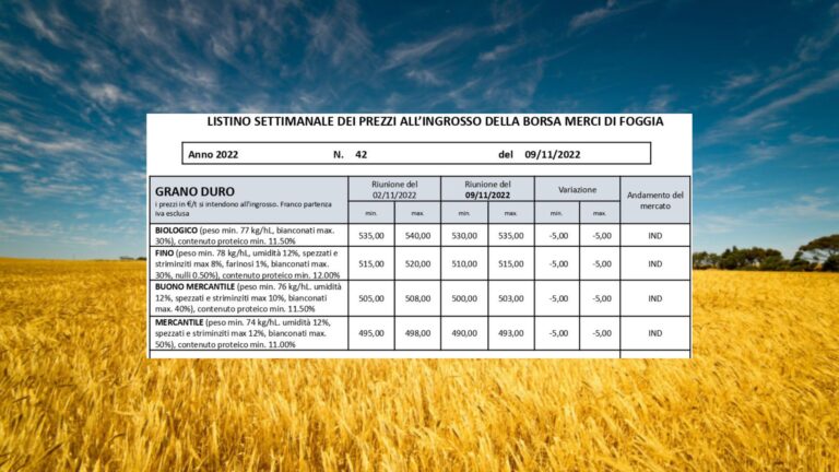 Grano duro: quotazioni in calo di 5 euro a tonnellata a Borsa merci Foggia. Fino a 515 (max) e bio a 535