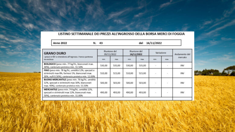 Borsa Merci di Foggia: stabili le quotazioni del grano duro del 15 novembre. Aumento per i cruscami