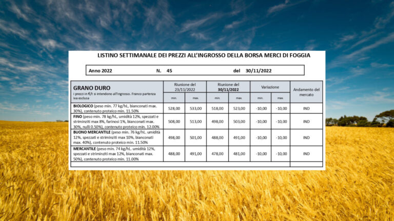 Scende il prezzo grano duro (30 novembre): -10 euro a tonnellata a Borsa Merci Foggia. Il Fino a 503 euro