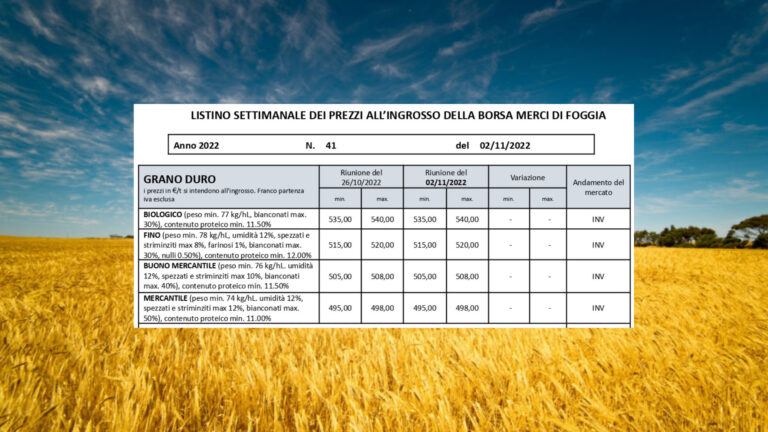 Grano duro, quotazioni invariate alla Borsa Merci di Foggia. Il Fino resta a 520 euro/t. e il biologico fermo a 540