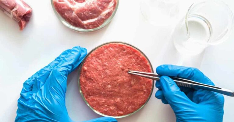 Carne coltivata: Carloni (Lega), se +Europa contro interessi Italia, lo dica chiaramente