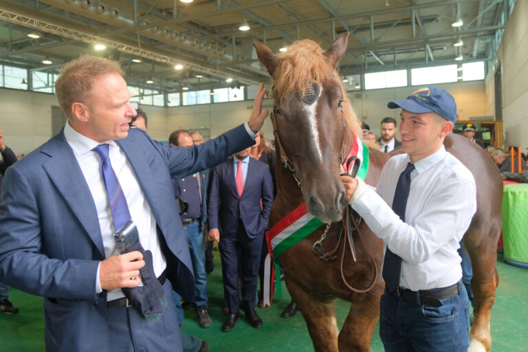 Fieracavalli, al via domani a Veronafiere la 125esima edizione