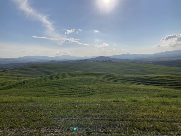 Morale in calo per gli agricoltori italiani (-14,7%). Ismea: ma la sfiducia non scoraggia gli investimenti