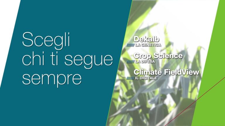 Bayer, al via la nuova campagna Mais 2023 con il teaser ‘Anch’io scelgo chi mi segue sempre’