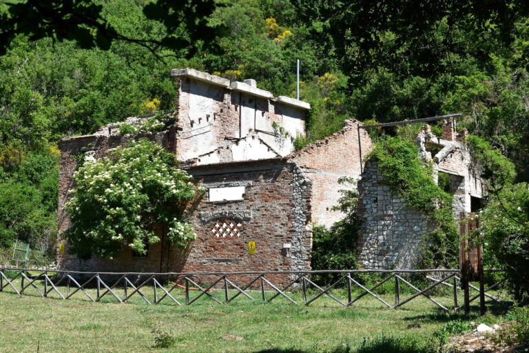 Amor d’olio – Ad Arrone (Tr), in Umbria, dal 13 al 27 novembre – Itinerari di gusto in Valnerina tra gli ulivi ed il foliage autunnale