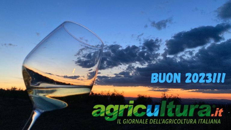 PAC si gira. Buon anno 2023 all’agricoltura italiana