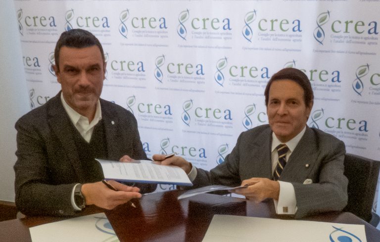 Ricerca e giovani imprenditori: siglato accordo fra Crea, Cia, Agia e Agricoltura è Vita