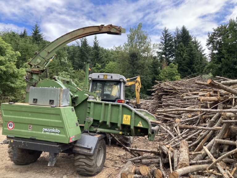 Lo stato del settore forestale: dalla normativa ai principali adempimenti. Coltiva le Reti a Pistoia il 5 dicembre