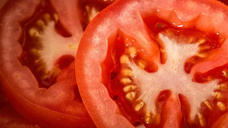 Pomodoro. Accordo saltato, Coldiretti Emilia Romagna: saltano i tempi di semina