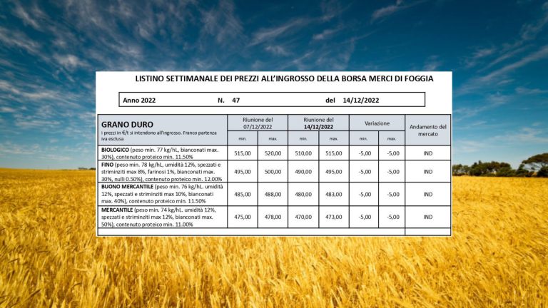 Grano duro (14 dicembre): il prezzo continua a scendere (-5 euro). Il Fino a 495 e il biologico a 515 (max)