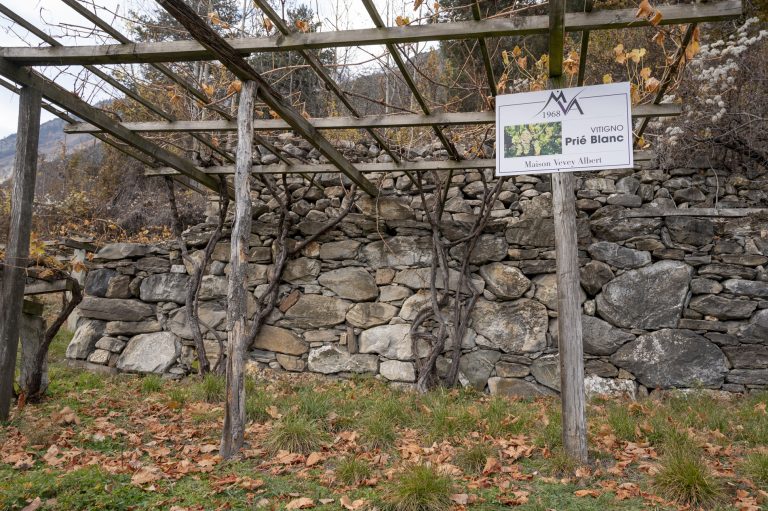 Alla scoperta della Valle d’Aosta. Da Donnas a Morgex La Salle lungo la strada dei vigneti alpini