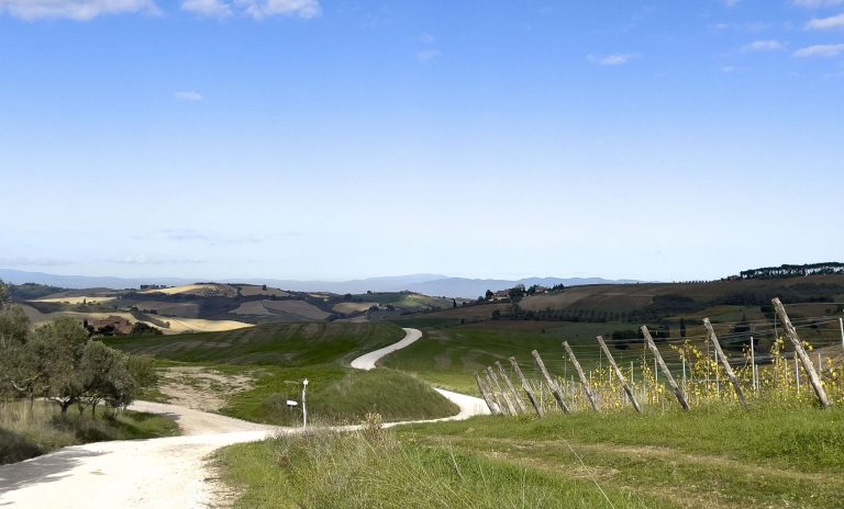 Turismo all’aria aperta. Montepulciano lancia 10 anelli per 100 km fra vigneti di Nobile e strade sterrate