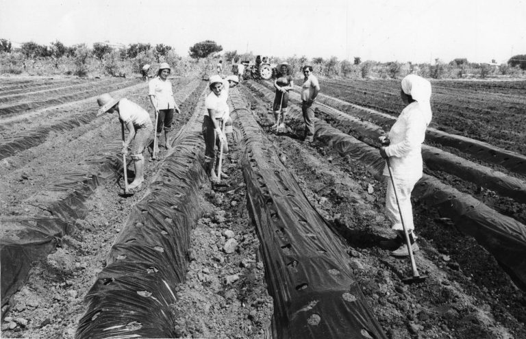 Lavoratori della terra nel ‘900: al via la mostra dell’Archivio Storico Fai-Cis