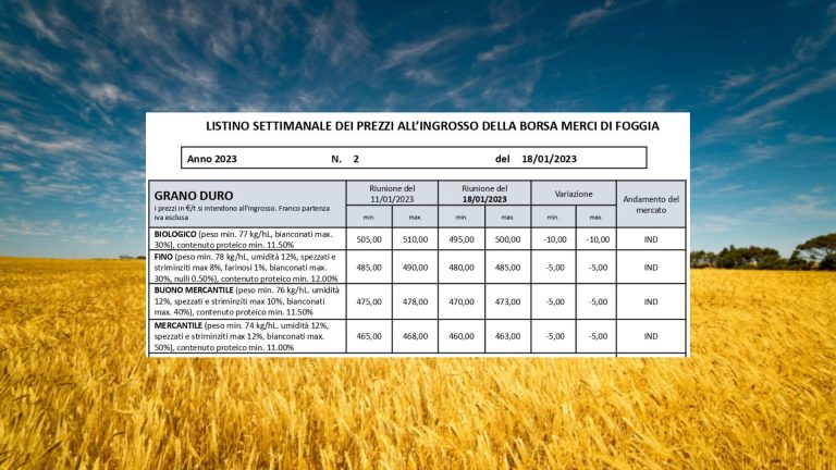 Quotazioni di grano duro (18 gennaio) in calo di 5 euro a tonnellata (-10 euro biologico) a Borsa Merci Foggia