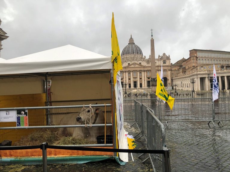 Il 17 gennaio allevatori italiani in Vaticano per la benedizione in occasione di Sant’Antonio Abate