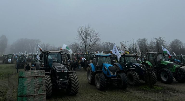 Zootecnia. Gli allevatori di Copagri assediano Linate per protestare alla crisi del settore