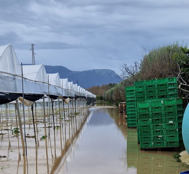 Oltre 900 milioni di euro di danno per l’agricoltura a causa del clima. Il focus Censis-Confcooperative