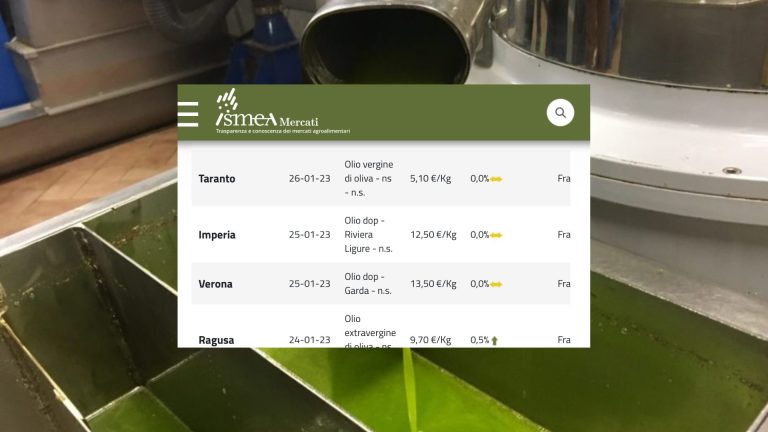 Olio: prezzi stabili in tutte le 18 piazze italiane (31 gennaio). Lieve aumento solo per l’extravergine Ragusa