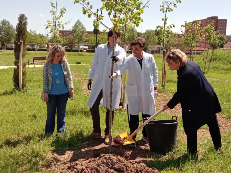 Ambiente: inquinamento, al via il progetto AIRFRESH per la riforestazione urbana