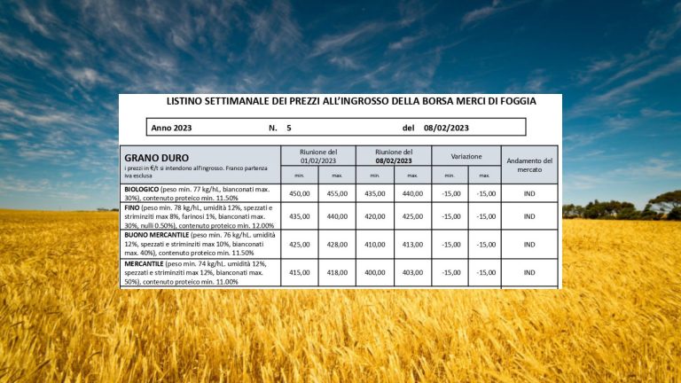 Grano duro: quotazioni (8 febbraio) in calo di 15 euro a tonnellata anche alla Borsa Merci di Foggia. Biologico a 440 euro