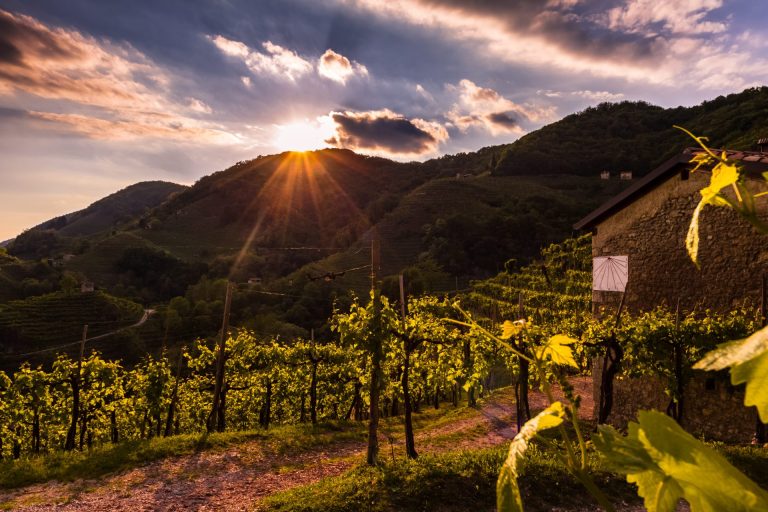 Contrappunti in cantina: a settembre nelle terre del Prosecco Doc incontri con gli autori