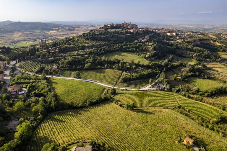 Bando Progetto RRN-Ismea: Mappe dei paesaggi rurali: strumenti innovativi conoscenza ‘La scuola in campo’. Ecco regolamento e scadenza